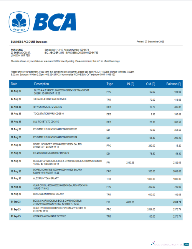 Download BCA Bank organization statement Word and PDF template Photoshop template